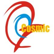 Cosmic IT services