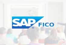 Top 10 SAP FICO Courses in Delhi